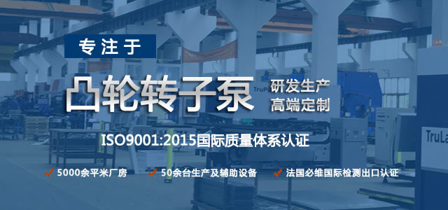 凸輪轉(zhuǎn)子泵生產(chǎn)廠家，專注于凸輪轉(zhuǎn)子泵的研發(fā)生產(chǎn)，高端定制